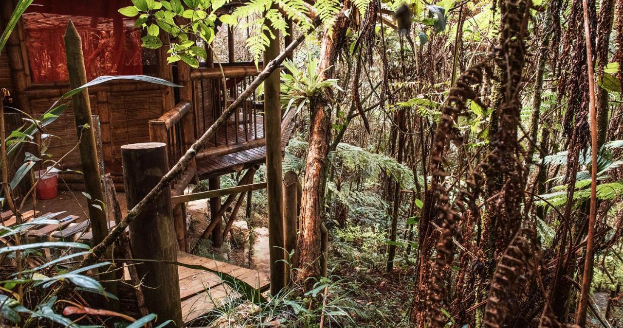 Hotel Guatape Adrianas Bambu Exteriér fotografie
