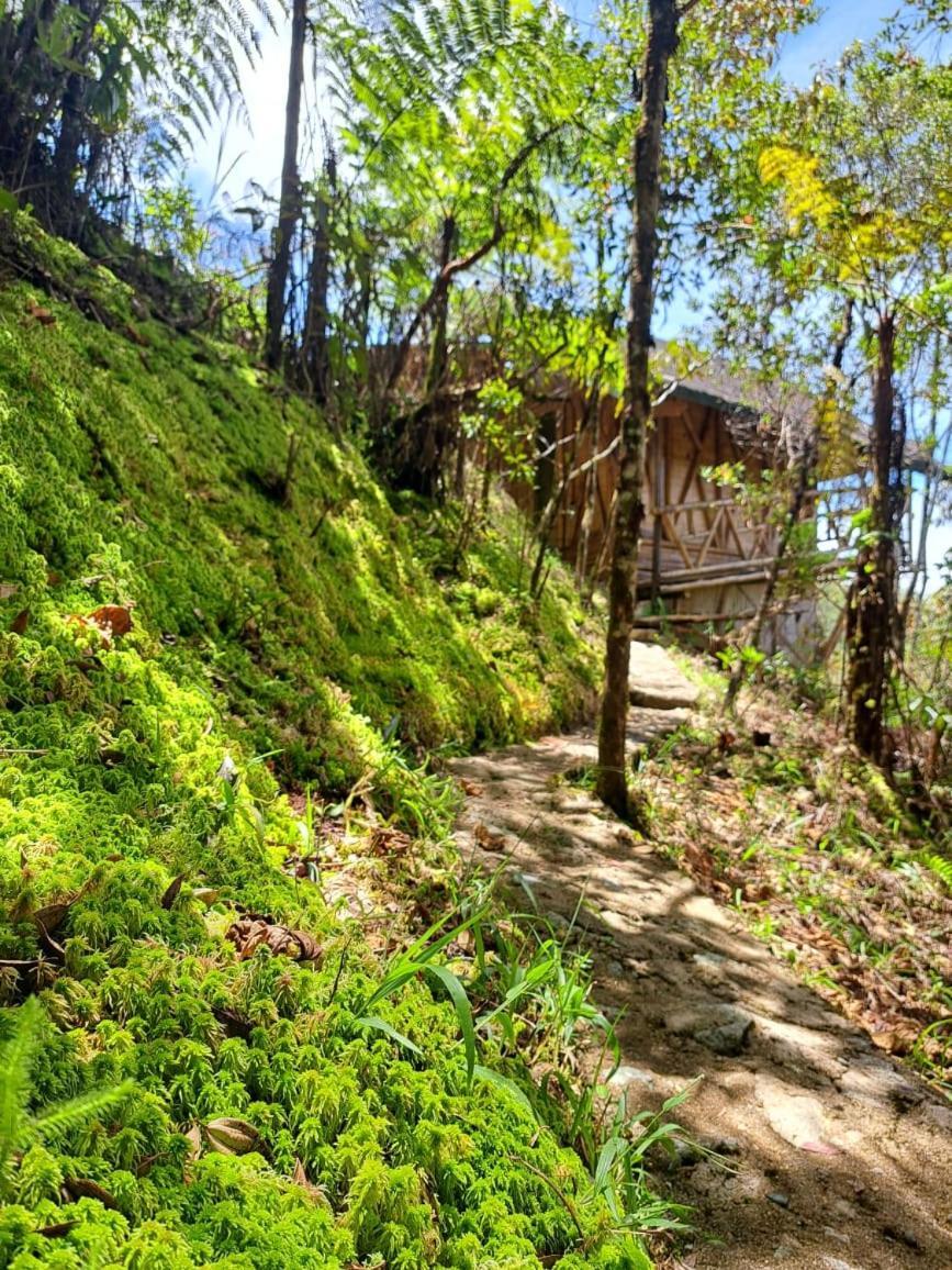 Hotel Guatape Adrianas Bambu Exteriér fotografie
