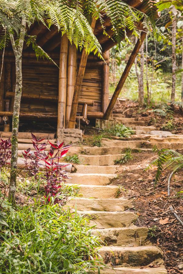Hotel Guatape Adrianas Bambu Exteriér fotografie